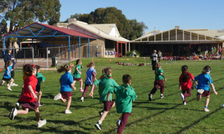 FCPS Cross Country 2026