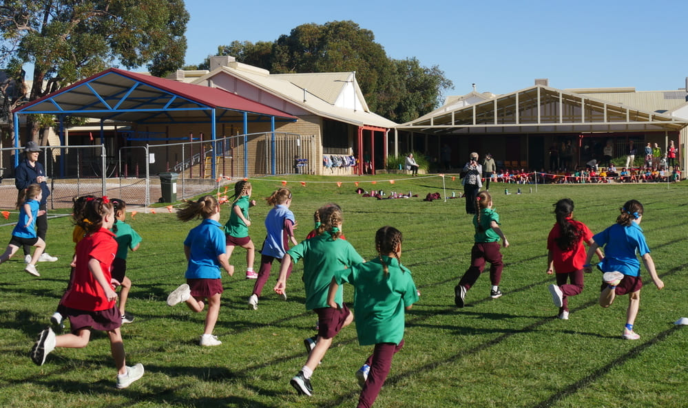 FCPS Cross Country 2026